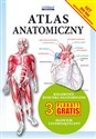 Atlas anatomiczny Kolorowe rysunki anatomiczne. 3 plakaty gratis. Słownik czterojęzyczny