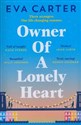 Owner of a Lonely Heart 