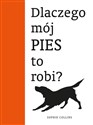 Dlaczego mój pies to robi?