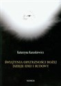 Świątynia Opatrzności Bożej dzieje idei i budowy - Katarzyna Karaskiewicz