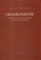 Okamgnienie Doświadczenie źródłowe a granice filozofii - Cezary Woźniak