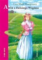 Ania z Zielonego Wzgórza - Lucy Maud Montgomery