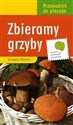 Zbieramy grzyby - Grzegorz Okołów