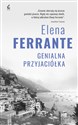 Genialna przyjaciółka - Elena Ferrante