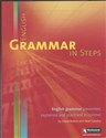 English Grammar in Steps