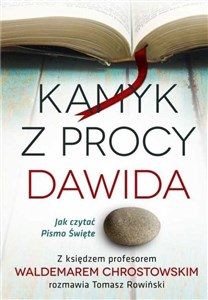 Kamyk z procy Dawida Jak czytać Pismo Św. - Księgarnia Niemcy (DE)