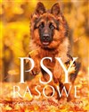 Psy rasowe Pochodzenie Rasy Zachowania - Izabela Przeczek