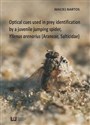 Optical cues used in prey identification by a juvenile jumping spider Yllenus arenarius