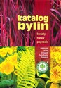 Katalog bylin Kwiaty trawy paprocie