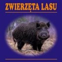 Zwierzęta lasu - Opracowanie Zbiorowe