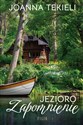 Jezioro Zapomnienie - Jaonna Tekieli