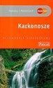 Karkonosze 