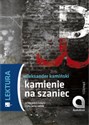 [Audiobook] Kamienie na szaniec - Aleksander Kamiński