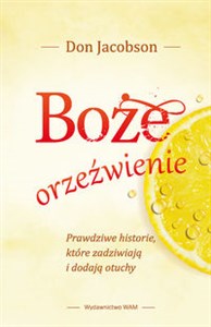 Boże orzeźwienie Prawdziwe historie, które zadziwiają i dodają otuchy