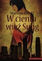 W cieniu wież Sung