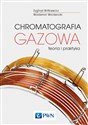 Chromatografia gazowa Teoria i praktyka