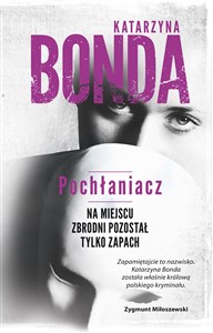 Pochłaniacz