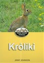 Króliki