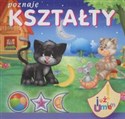 Poznaję kształty Już umiem