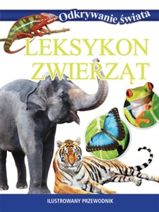 Leksykon zwierząt Ilustrowany przewodnik