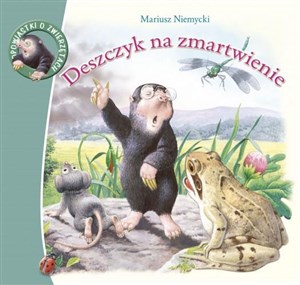 Deszczyk na zmartwienie