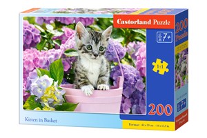 Puzzle 200 el. B-222209 Kitten in Baske B-222209