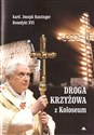 Droga krzyżowa z Koloseum 