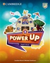 Power Up Level 2 Pupil's Book - Caroline Nixon, Michael Tomlinson