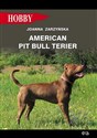 American pit bull terier - Joanna Zarzyńska