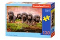 Puzzle Five Little Puppies 120