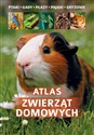 Atlas zwierząt domowych / SBM
