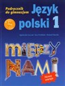 Między nami 1 Język polski Podręcznik Gimnazjum - Agnieszka Łuczak, Ewa Prylińska, Roland Maszka