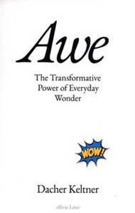 Awe The Transformative Power of Everyday Wonder - Księgarnia UK