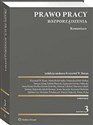 Prawo zatrudnienia Komentarz do rozporządzeń - Dominika Dörre-Kolasa, Izabela Florczak, Daniel Książek, Iwona Sierocka, Mariusz Lekston, Anna Kosut