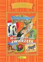 Dlaczego? Zwierzęta. Dziecięca Biblioteczka