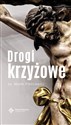 Drogi krzyżowe - Marek Piedziewicz