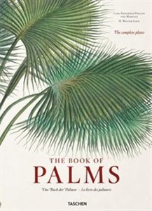 The Book of Palms - Księgarnia UK