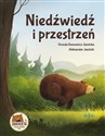 Niedźwiedź i przestrzeń