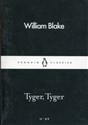 Tyger Tyger - William Blake