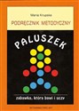 Paluszek Podręcznik metodyczny Zabawka, która bawi i uczy