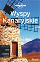 Wyspy Kanaryjskie