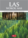 Las wokół nas Najpiękniejsze puszcze i bory Polski