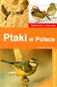 Ptaki w Polsce - Andrzej G. Kruszewicz