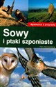 Sowy i ptaki szponiaste