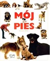 Mój pies