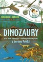 Dinozaury oraz inne zwierzęta i rośliny prehistoryczne z terenu Polski Edukacja i zabawa naklejki + plakat