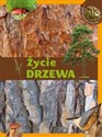 Życie drzewa