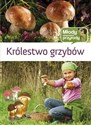 Królestwo grzybów