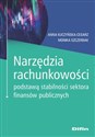 Narzędzia rachunkowości podstawą stabilności sektora finansów publicznych - Anna Kuczyńska-Cesarz, Monika Szczerbak