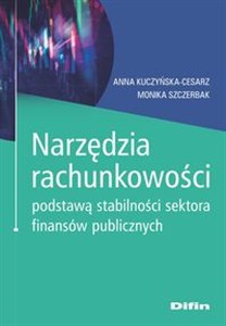 Narzędzia rachunkowości podstawą stabilności sektora finansów publicznych - Księgarnia Niemcy (DE)